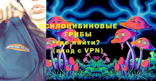 2c-b Бородино