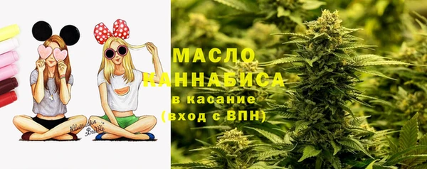 2c-b Бородино