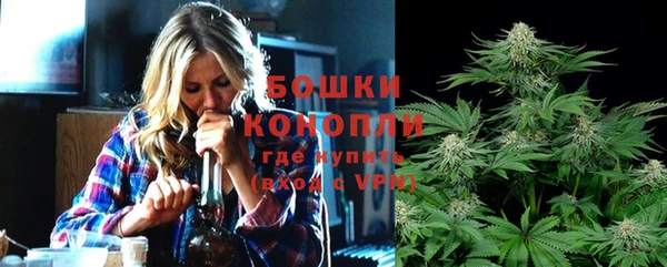 2c-b Бородино