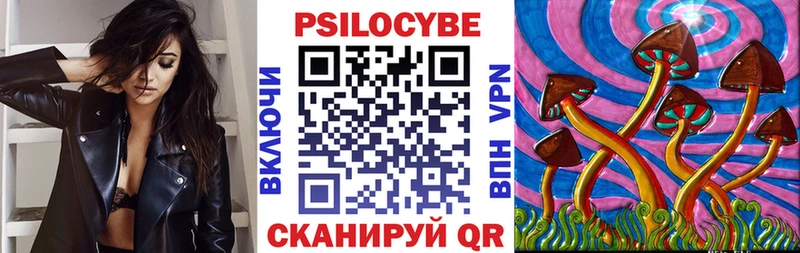 где продают Славянск-на-Кубани Псилоцибиновые грибы мицелий