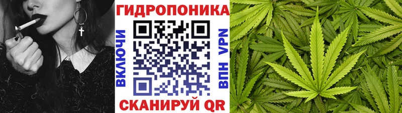Бошки марихуана планчик где найти наркотики Славянск-на-Кубани